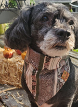 Load image into Gallery viewer, Green Fancy Bandana
