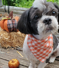 Load image into Gallery viewer, Harvest Bandana