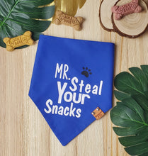 Load image into Gallery viewer, Mr. Steal Your Snacks / Miss Steal Your Snacks