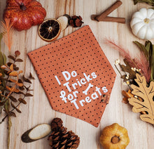 Load image into Gallery viewer, Tricks for Treats Bandana