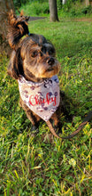 Load image into Gallery viewer, Mickey & Minnie Mouse Bandana