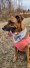 Load image into Gallery viewer, The Daisy Bandana