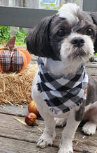 Load image into Gallery viewer, Season's Classic Bandana
