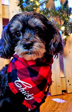 Load image into Gallery viewer, Lumberjack Bandana
