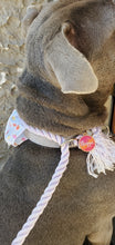 Load image into Gallery viewer, Sunset Round Pet ID Tag
