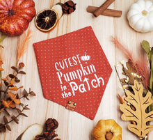 Load image into Gallery viewer, Cutest Pumpkin Bandana
