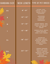 Load image into Gallery viewer, Autumn Vibes Bandana

