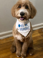 Load image into Gallery viewer, It's My Birthday Bandana

