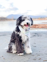 Load image into Gallery viewer, Whisper Sky Bandana
