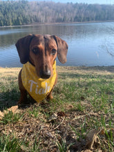 Load image into Gallery viewer, Yellow Mellow Bandana
