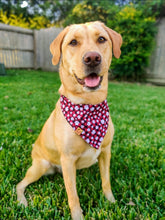 Load image into Gallery viewer, Santa Paws Bandana
