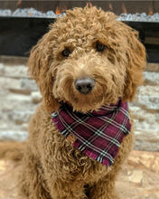 Load image into Gallery viewer, Magenta Frayed Bandana
