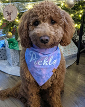 Load image into Gallery viewer, Glitter Galaxy Bandana
