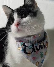 Load image into Gallery viewer, Gone Fishing Bandana
