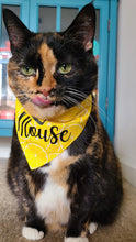Load image into Gallery viewer, Lemon Squeeze Bandana
